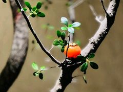 -王府茶楼茶宴·创意菜(大观园总店)
