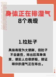 点击看大图 -玛莲朵·海菲秀冰珀科