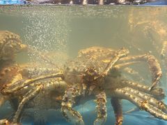水产区-渔傅·霞浦滩涂海鲜(建平店)