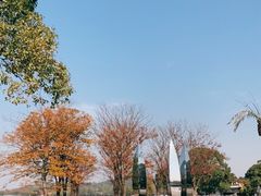 -上海月湖雕塑公园