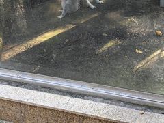 -水绘园