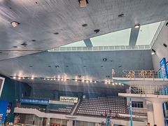 -重庆市奥林匹克体育中心-游泳跳水馆