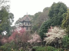 -成都杜甫草堂博物馆