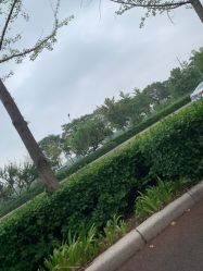 -HEYAN长风荷妍专业脱毛美肤
