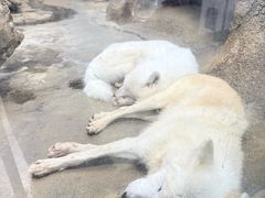 -西安曲江海洋极地公园