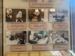 -北京动物园-畅观楼