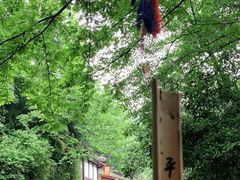 -青城山