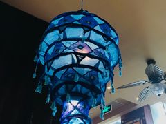 -中8楼风尚云南菜(颐堤港店)