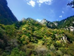 -青峰峡国家森林公园