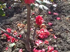 -苏州河梦清园环保主题公园