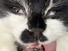-贝利宠物医院·骨科·眼科·肿瘤转诊中心(南坪诊疗中心)