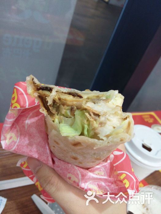 卡巴布土耳其烤肉风味烤肉卷图片 - 第1张