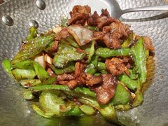-鸽子窝(青塔店)