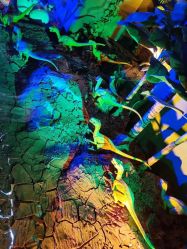 -恐龙探索乐园(磁器口店)