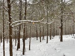 -龙洞风景区-藏龙涧