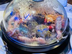 -半岛听涛蒸汽海鲜自助(K11店)