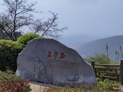 -铁山坪森林公园