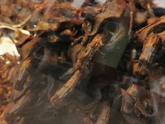 -张鸭子重庆特产卤味小吃(未来国际店)