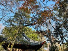 -汇龙潭