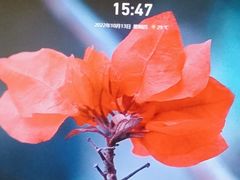 -学习谷日语培训日本留学·多语种外语教学(海淀人大分部)