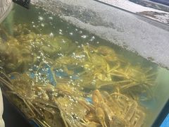 -蟹之国·精品蟹料理(极地店)