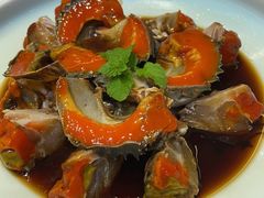 -宁海食府(北岸琴森店)
