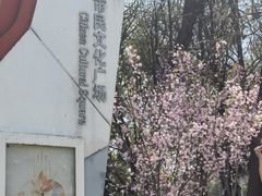 -七宝老街-闵行市民文化广场