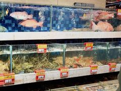-抱德·潮汕味(敦和店原惠城鱼仔)