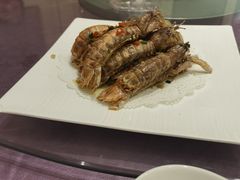 -宝燕壹号(徐汇店)