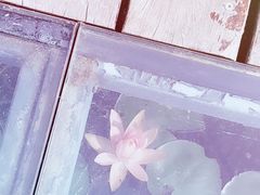 -昆山城市生态森林公园