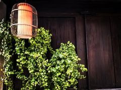 -黎里古镇