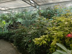 -南宫五洲植物乐园