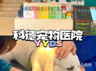 带毛孩子看医生就得到专业的医院