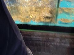 -苏格里岛自助烤肉海鲜火锅(成都金牛万达店)