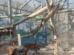 -济南野生动物世界