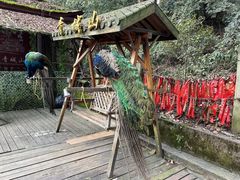 -青城山
