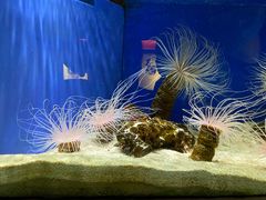 -上海海洋水族馆