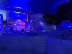-世界之窗阿尔卑斯冰雪世界