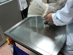 -北京博爱动物医院有限公司