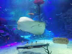 -沈阳海洋探索中心