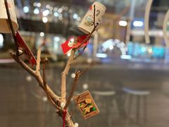 -Seesaw Coffee(苏州中心店)