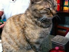 -协和菜馆(凤凰街店)