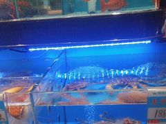 -阿伟海鲜楼·福建菜(延寿店)