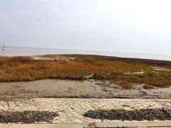 -南汇嘴观海公园