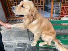 -八木轩·寻味大理白族民俗餐厅(文献路店)