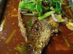 -金厨帽烤鱼(芦庄店)