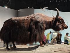 -中国湿地博物馆