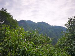-龙湾潭国家森林公园