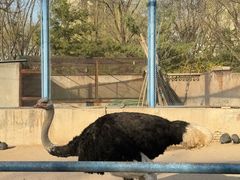 -森林公园(尖草坪区)