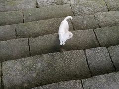 -活水公园